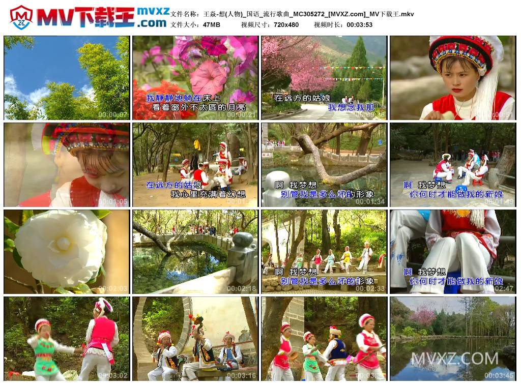 王焱-想(人物)_国语_流行歌曲_MC305272